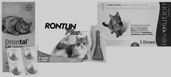 养猫人必备常用药物有哪些,养猫的人用什么驱虫药