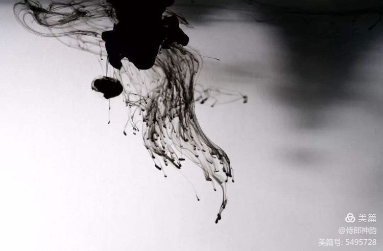 情爱禅语,佛家经典禅语