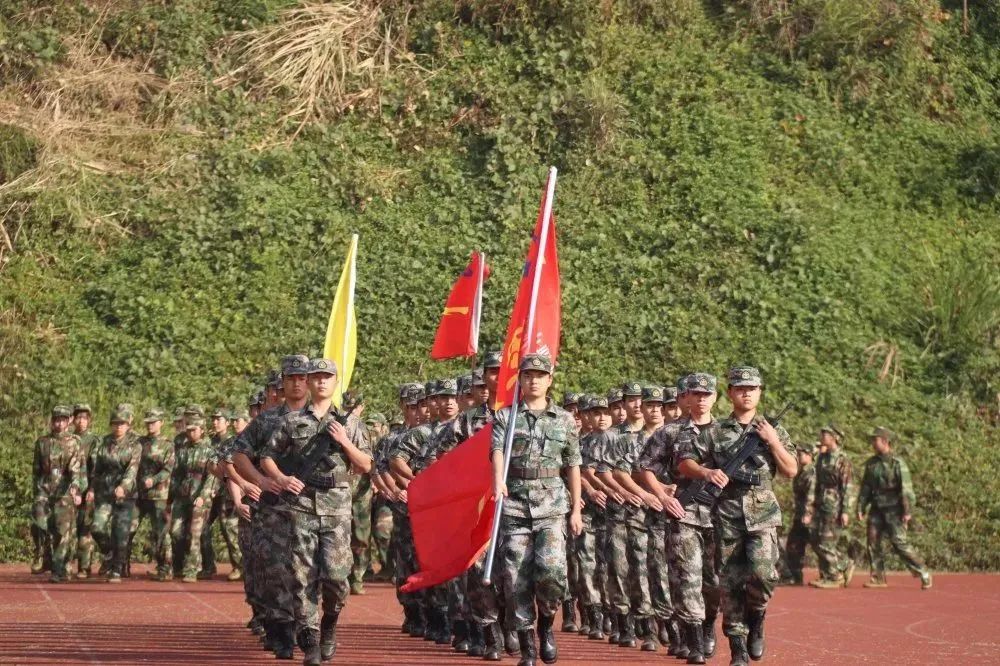 高职高考广东看什么,广东高职高考复习看哪些老师