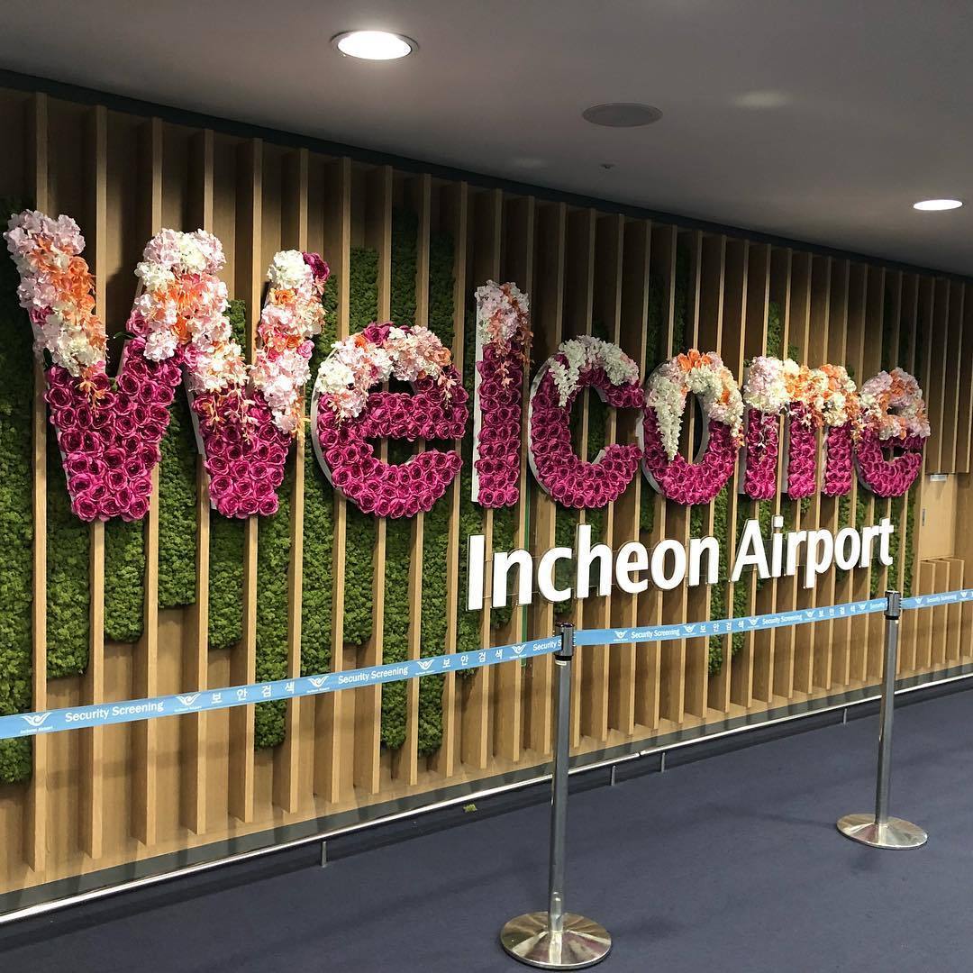 推荐机场免税好物,免税店便宜实惠必买清单