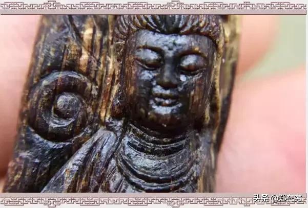 种植什么木头最值钱,农业种植珍贵木头