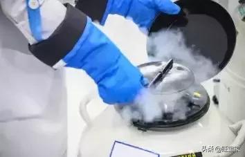 女明星都在冻卵,这件事可没想象得那么简单