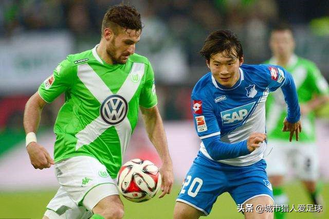 德甲50+1政策霍芬海姆,霍村老板霍普霍芬海姆