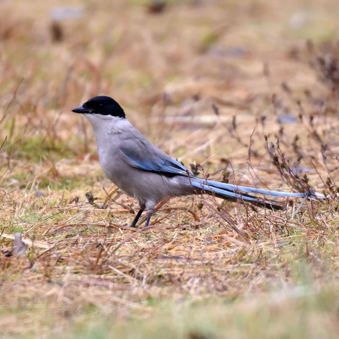 合肥融创茂宝藏秘境,合肥宝藏地