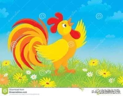 小小动物园作文好开头,作文一个小小动物园