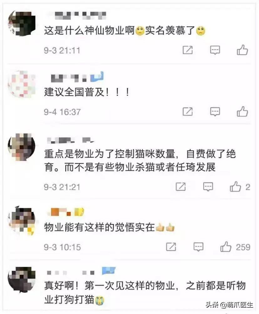 物业给小区流浪猫绝育视频,业主凑20万给流浪猫绝育