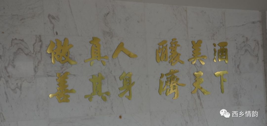 文龙:我与古井贡酒的三醉之情缘