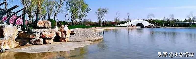 南阳世界月季大观园开幕邀请,南阳月季大观园门票现在免费政策