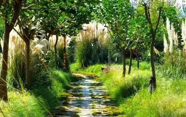 西昌邛海湿地公园旅游线路,西昌邛海湿地属于哪个省