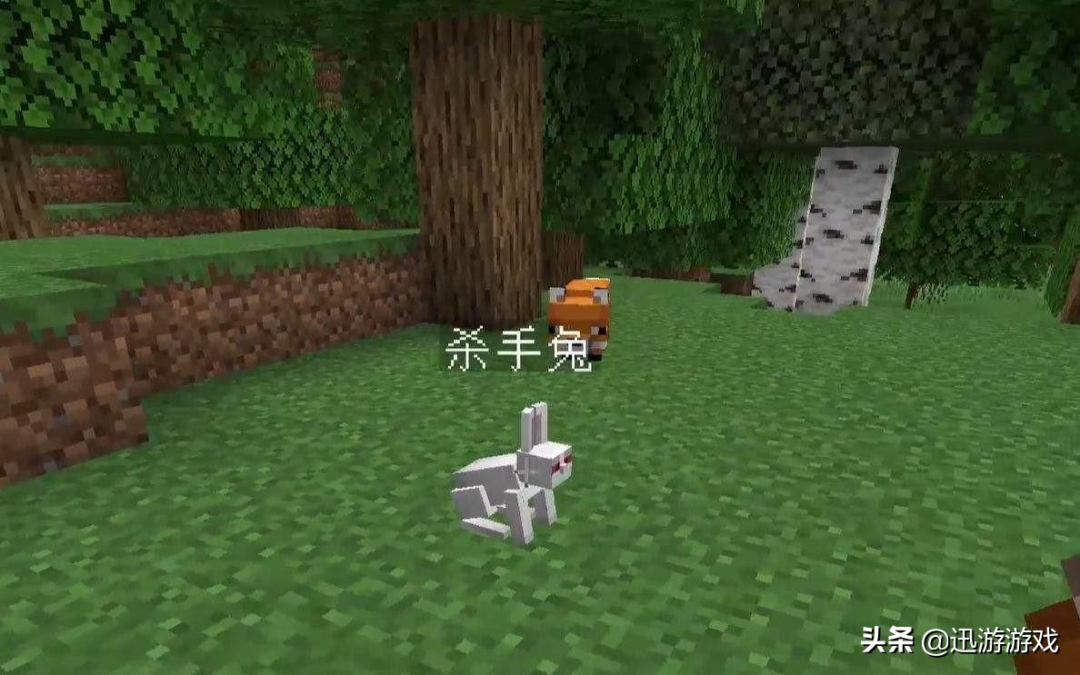 我的世界玩家最讨厌的生物,我的世界玩家的恐惧