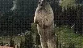 “世界上有没有鬼”终于有定论了？