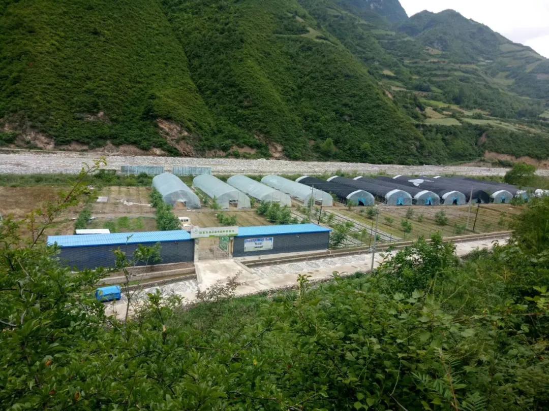 【漳县电商人物访谈第十七期】创业励志青年——王晓斌