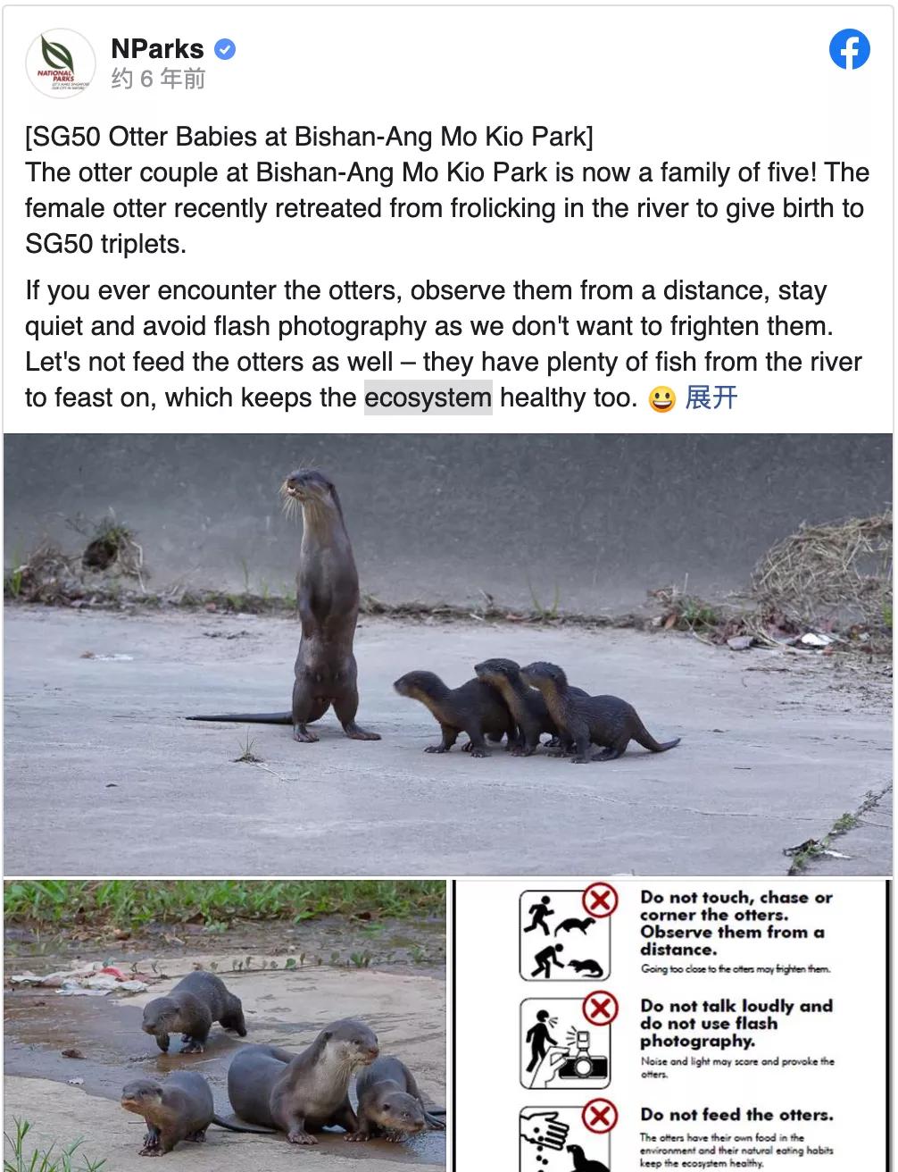 新加坡华人打架斗殴事件,新加坡打架最惨烈的一次