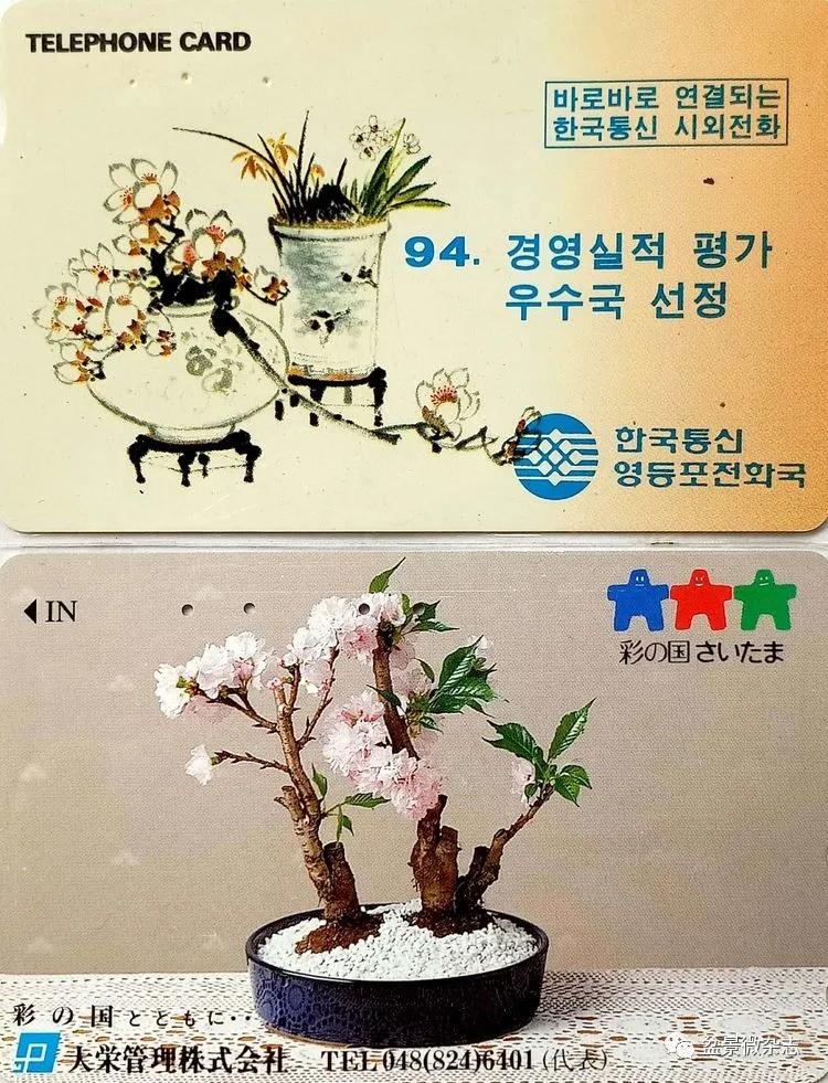 鐩嗘櫙鑱旂郴鐢佃瘽鍙风爜,涓鐩嗘櫙鑱旂郴鏂瑰紡