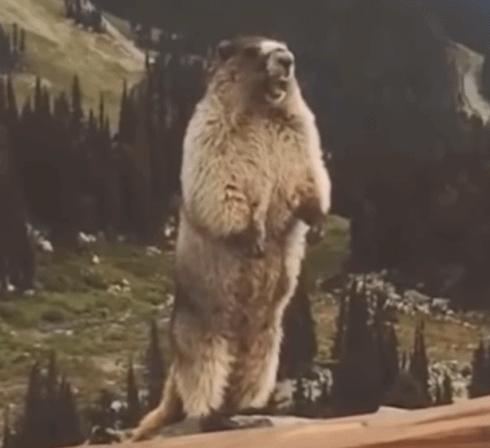 「SD9.4战报」罗曼又遭被暴虐！连蛋妞都被挨打了