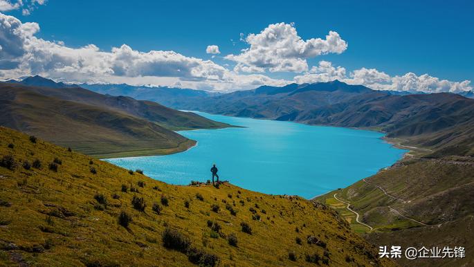 共享雨伞丢失老板反而异常开心,共享雨伞丢了怎么办