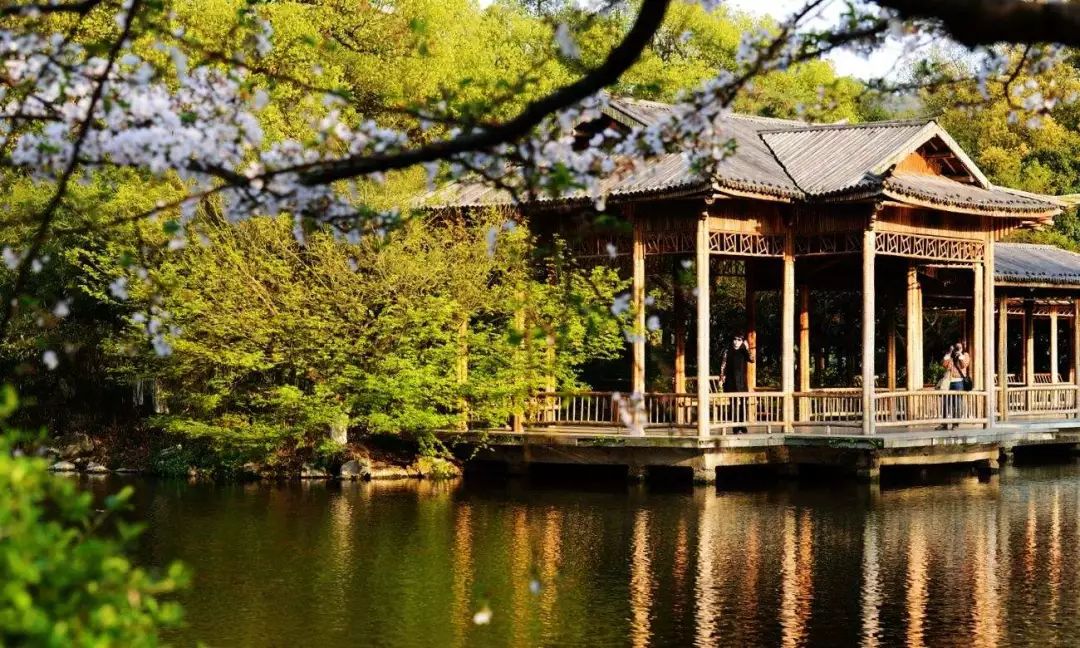 花港一楼茶楼,花港早茶