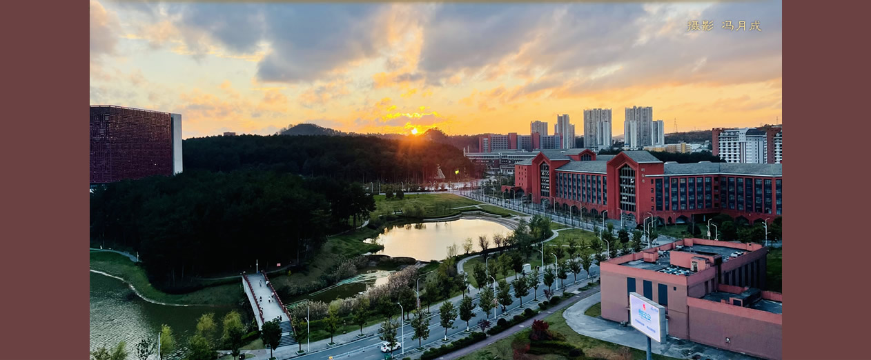 2020贵州大学毕业生就业分析,本科就业率96%,专业数量多