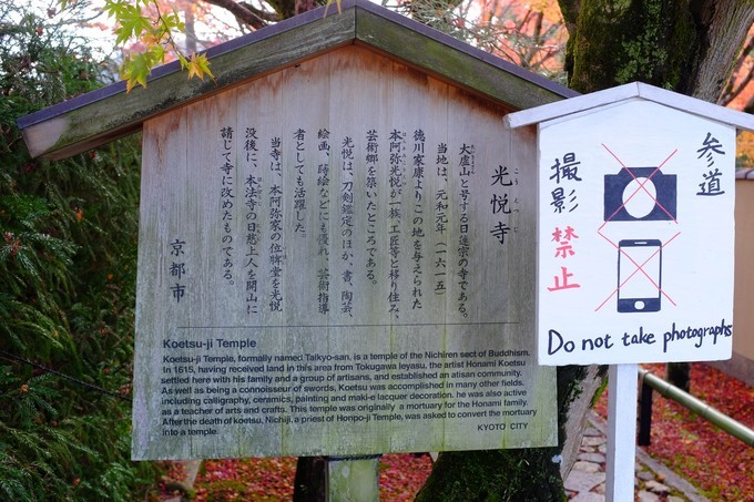 京都赏枫2022,京都赏枫必去景点有哪些好玩的