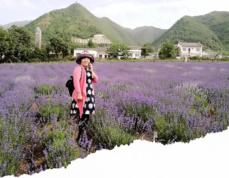 张会养作品：长寿塬*会集**