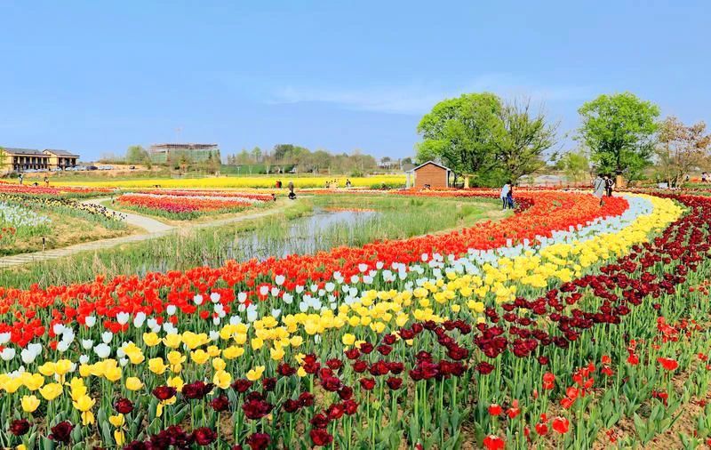 此心安处是仙乡,此心安处是吾乡