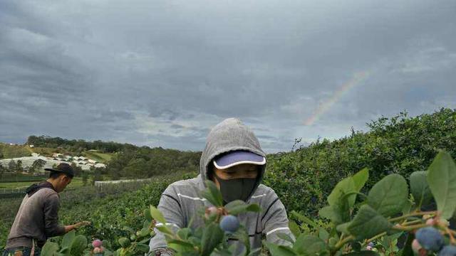 出国打工是个好的选择吗,出国打工不是最好的选择