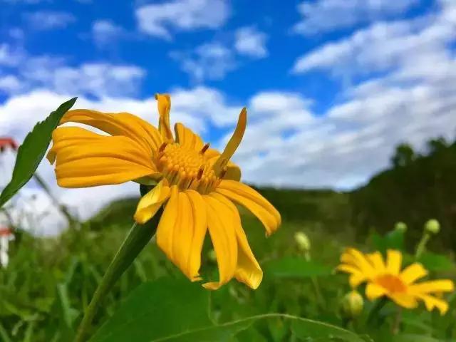 为什么就是离不开保亭？3大理由够不够