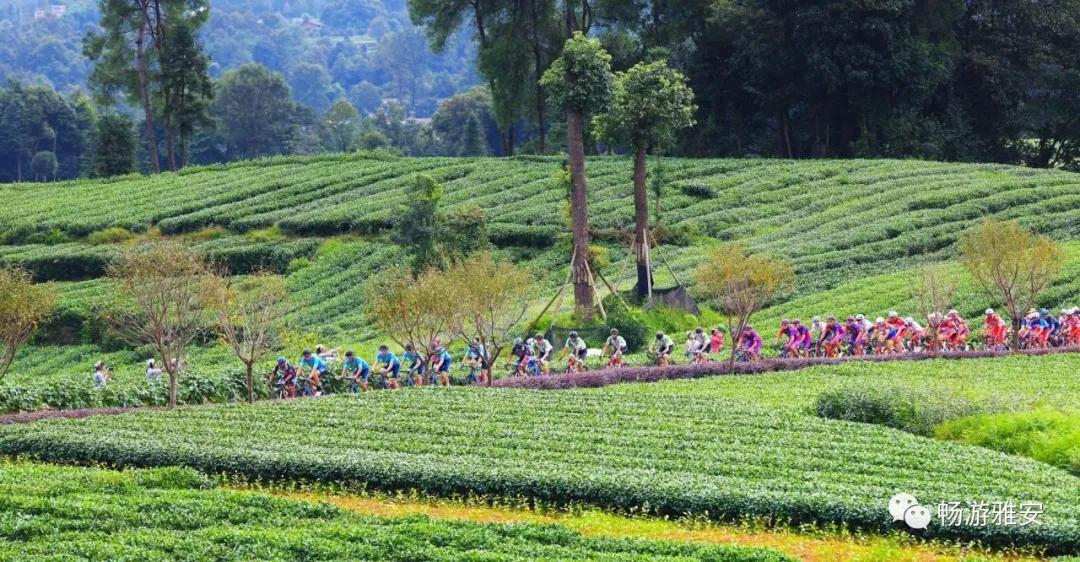 雅安4天旅游攻略最新版,五一去雅安的攻略