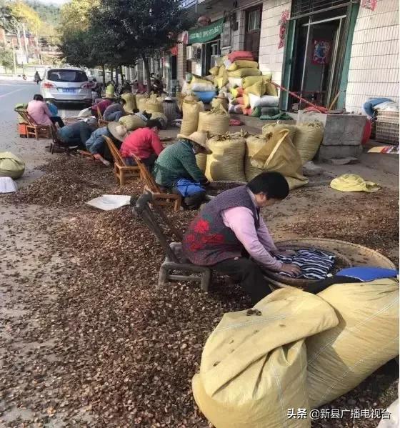 梦里老家自然美,梦里老家田园风景