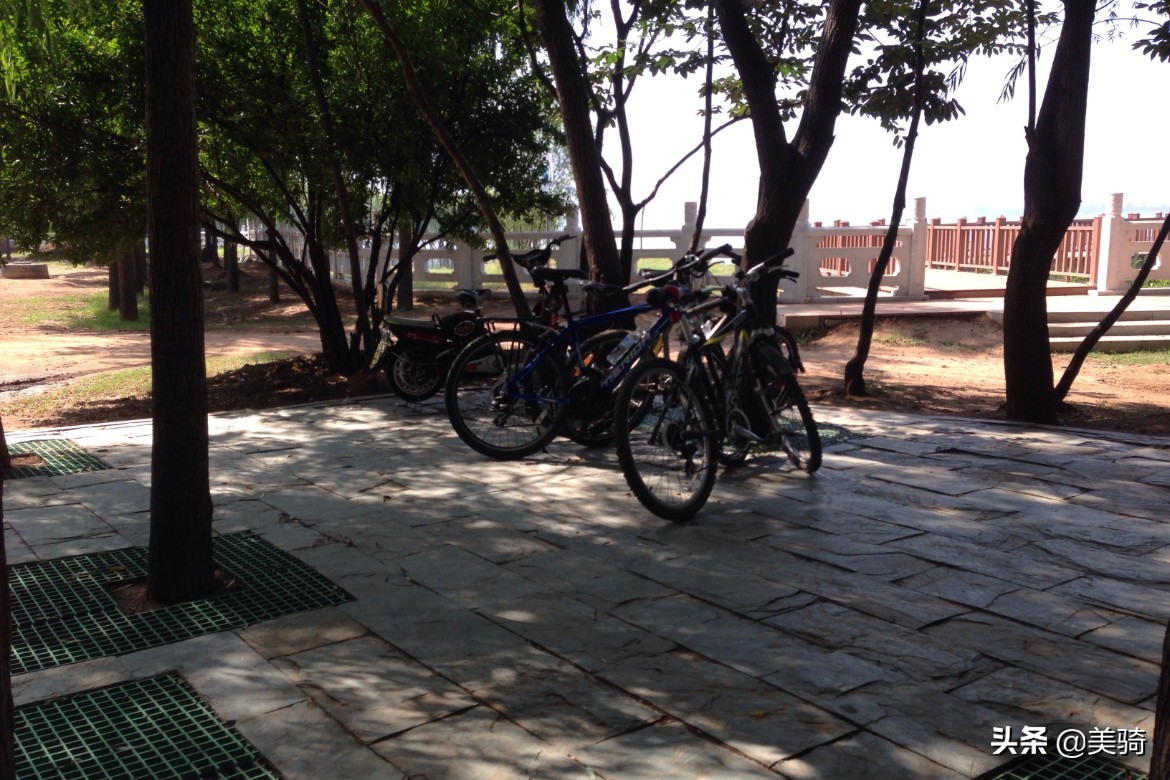 捷安特ocr3500公路车怎么样,捷安特老款ocr3300能买吗