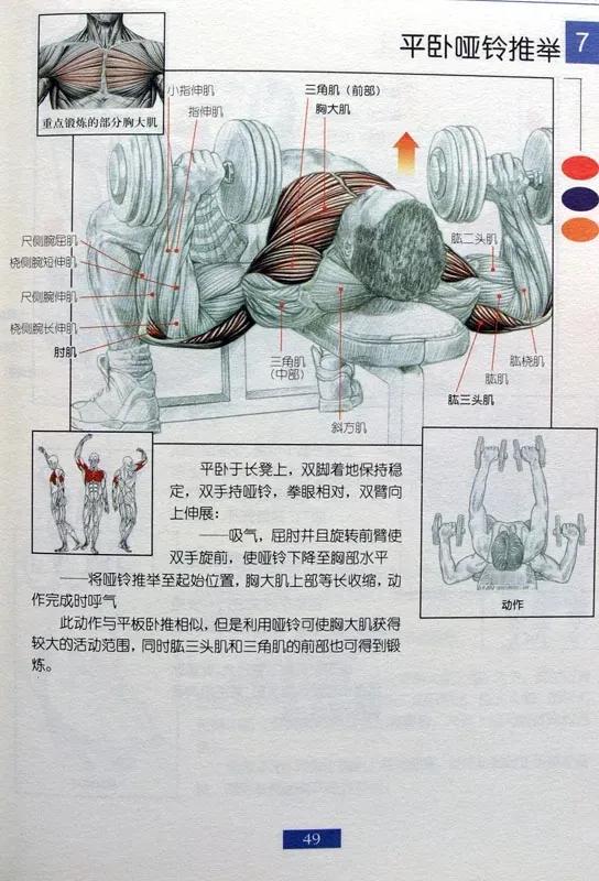 男士居家健身30分钟全身训练,男士健身保健操40至50岁