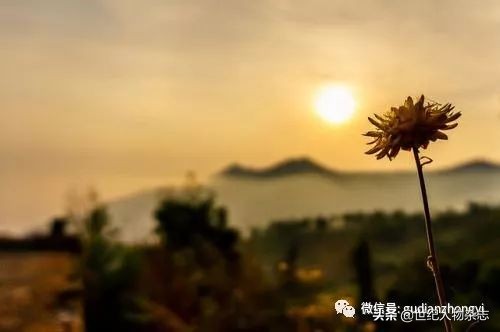 前半生拼命赚钱,前半生赚钱后半生看病