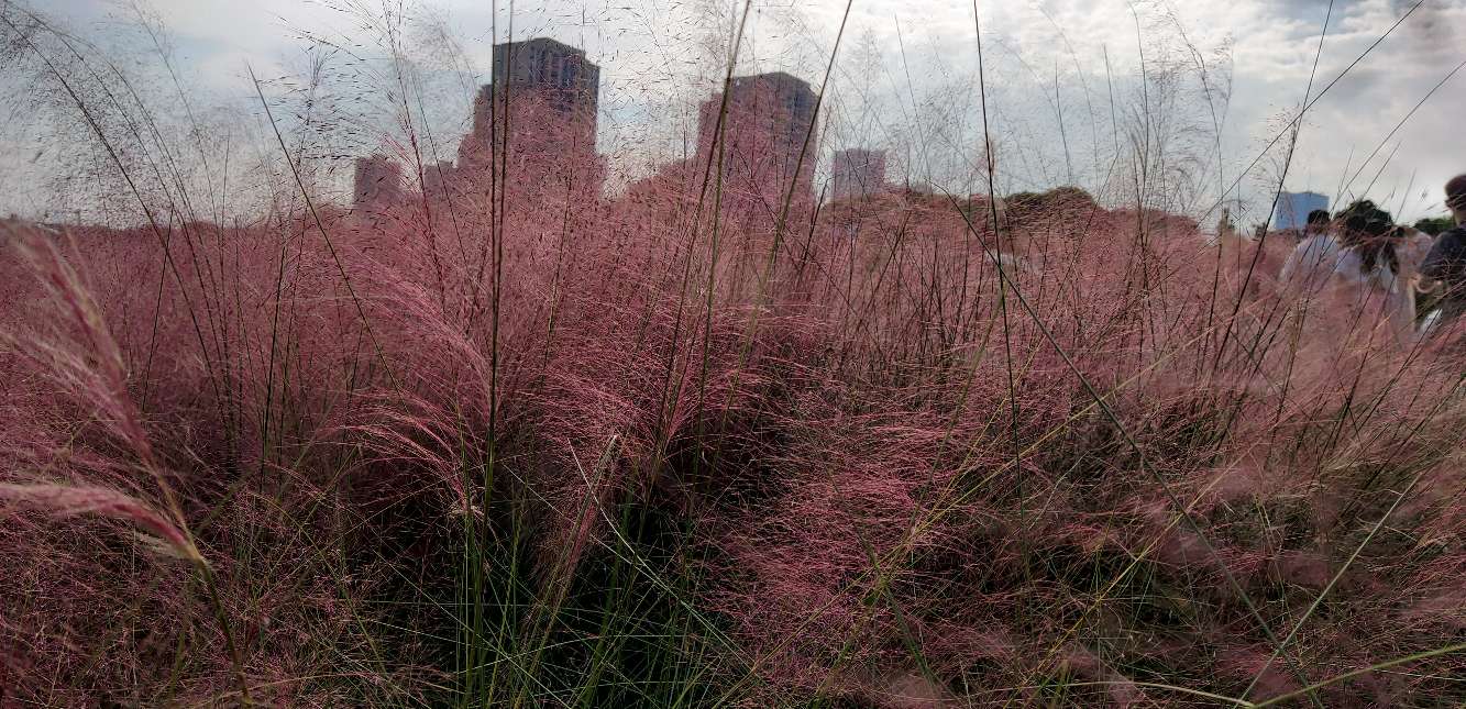 最美好的年纪活成了最糟糕的自己,在最好的年纪里过着最悲哀的生活