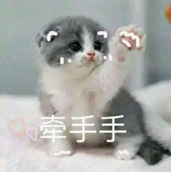 不一样的高考2020,不一样的高考