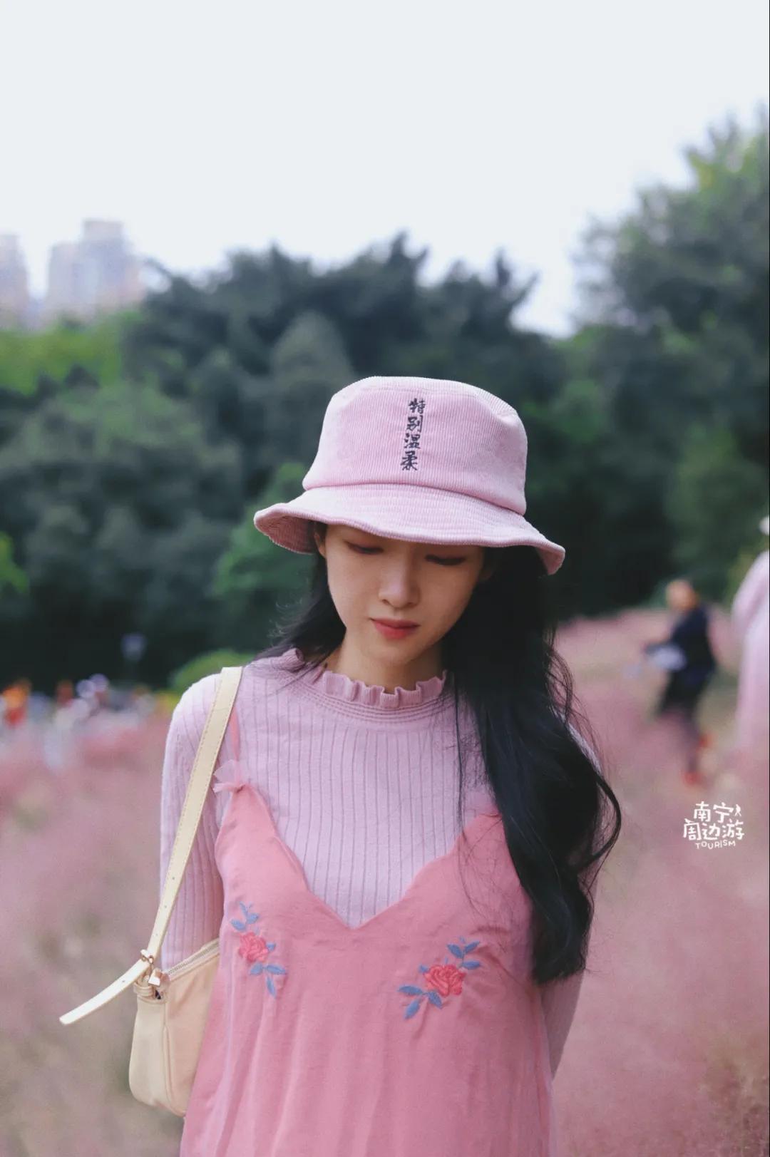 南宁花海公园在哪里,南宁嘉和城附近花海