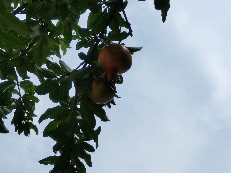 洪涝灾害避险与互救,洪涝灾害后心理自救