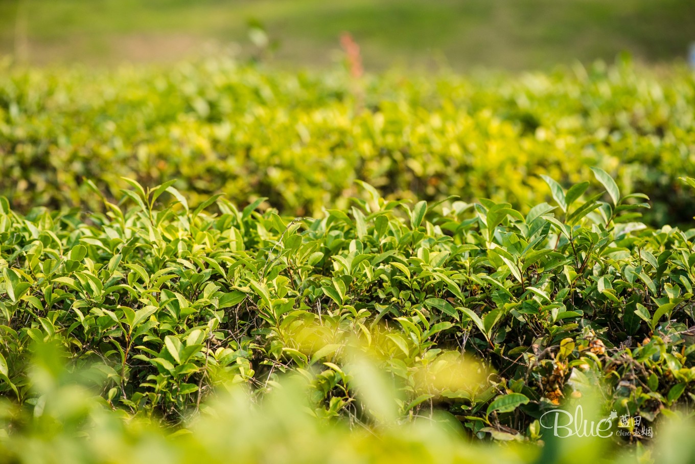 最有灵性的古佛寺,国内最美佛寺排行榜前十
