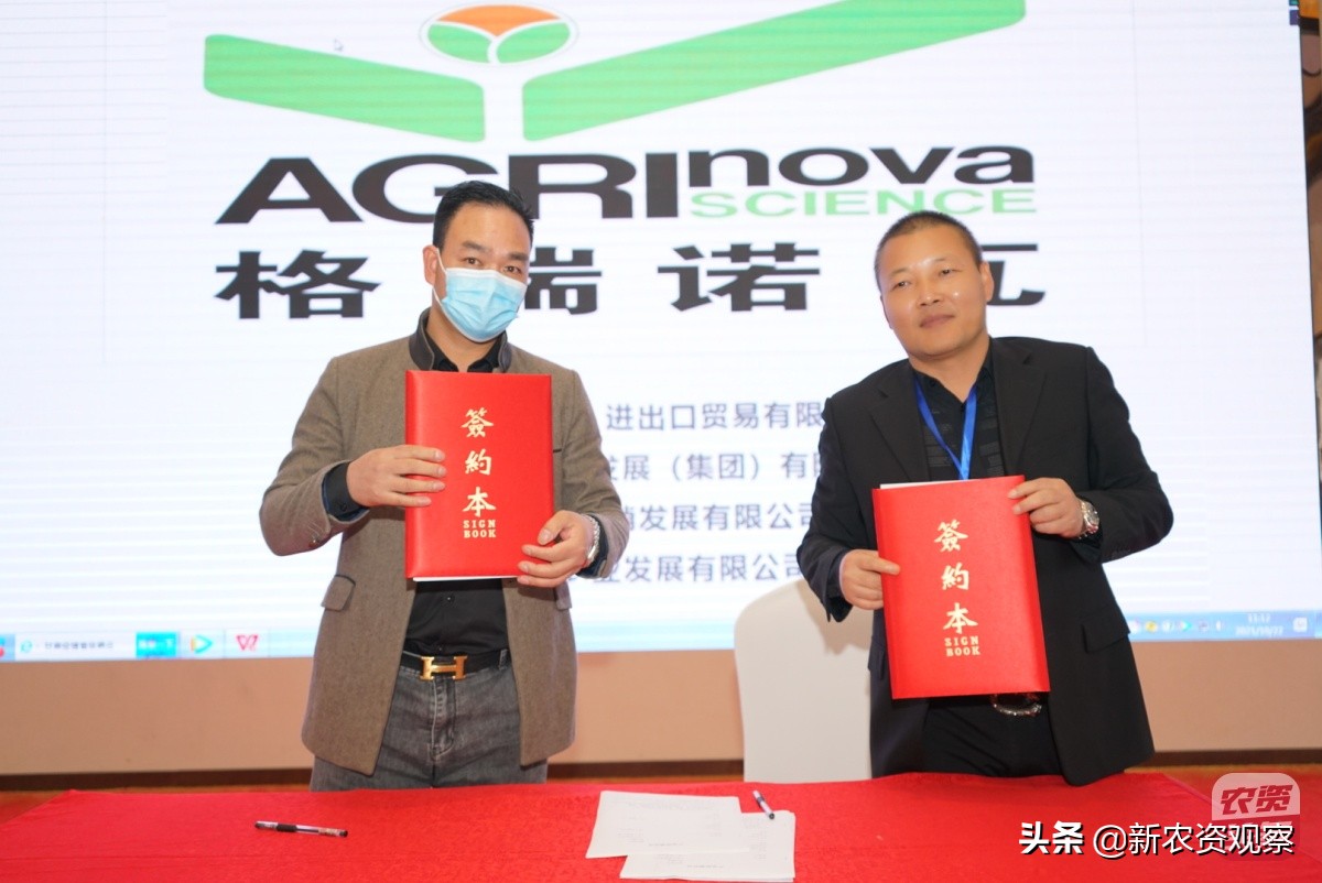 黔南州“一品一策”，格瑞诺瓦助力大葱栽培管理