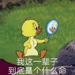 淘宝好看平价夏天店铺推荐,淘宝30多岁女装平价质量好的店铺