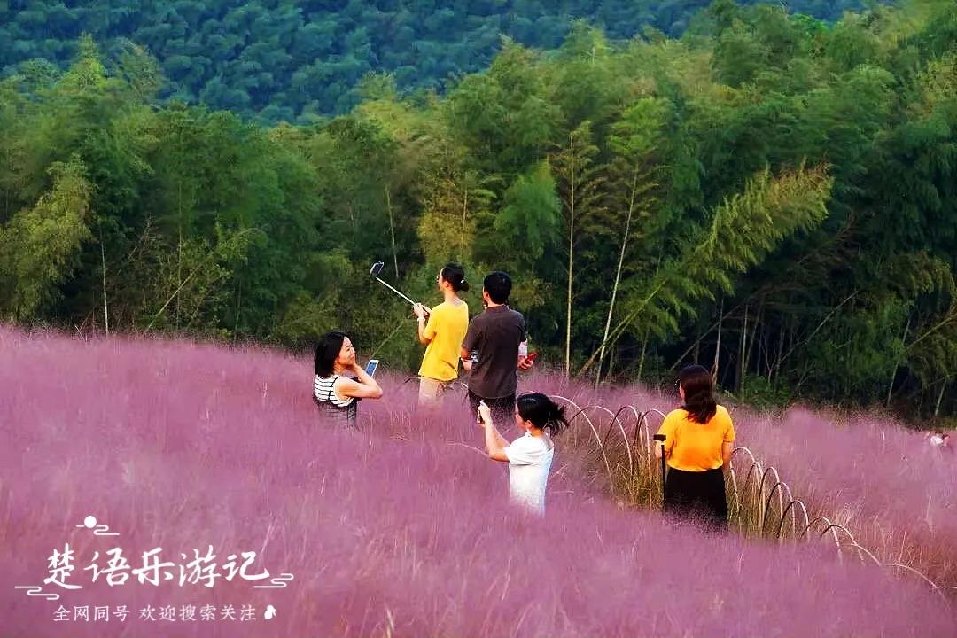 宁波四明山最美古村,宁波又一古镇走红景色不输姑苏