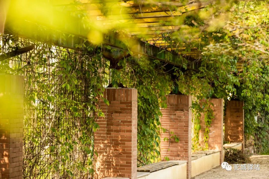 榆林艺术打卡,艺术街区网红打卡