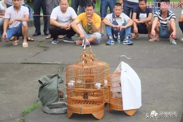 记住乡愁容县篇,记住乡愁视频美食