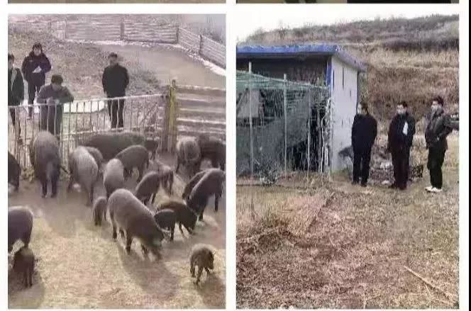 战疫情！彬州*党**员干部全力打好疫情防控阻击战②