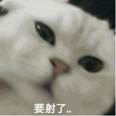 豆瓣评分9以上的热血漫,豆瓣评分热血剧