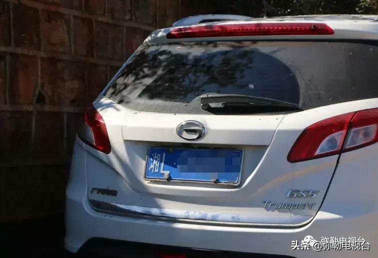 太热闹!弥勒花海、人海、车海、舞海...这些人上镜了!