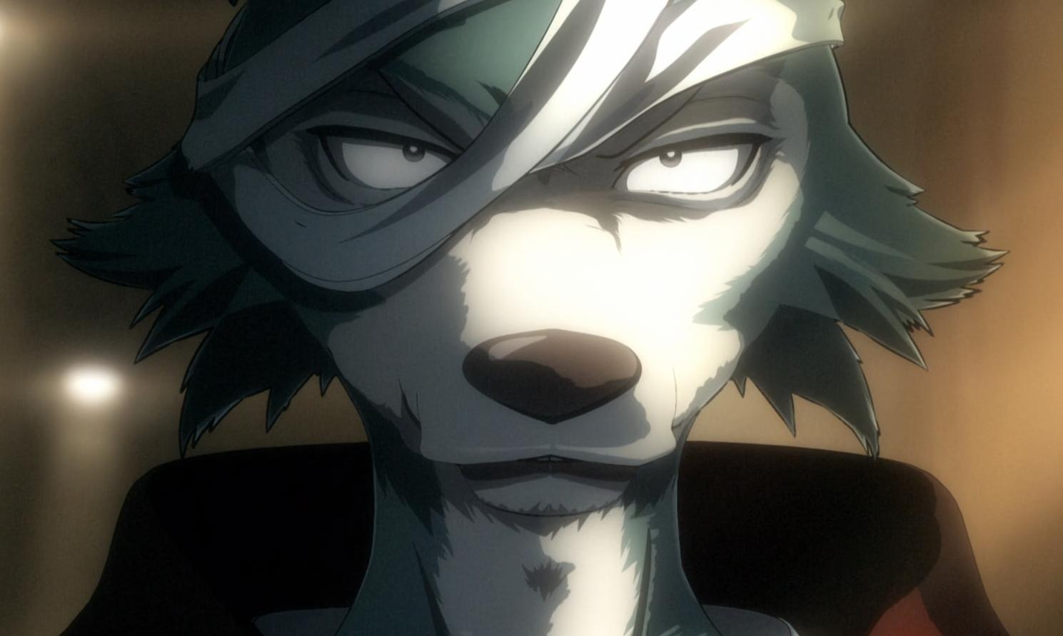 盘点2019年值得一看的优秀新番,盘点22年必看的十大新番