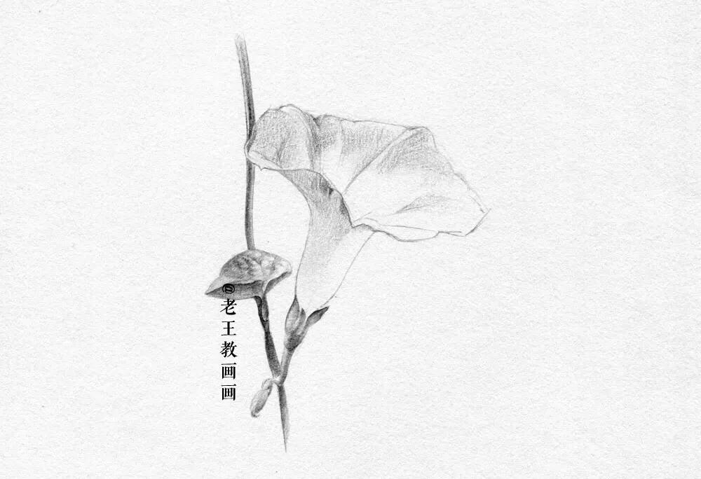 素描小白都在画什么,新手小白画素描人物