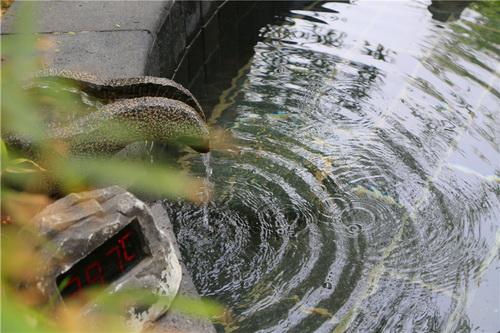 临朐温泉揽翠湖是真温泉,潍坊临朐揽翠湖天沐温泉