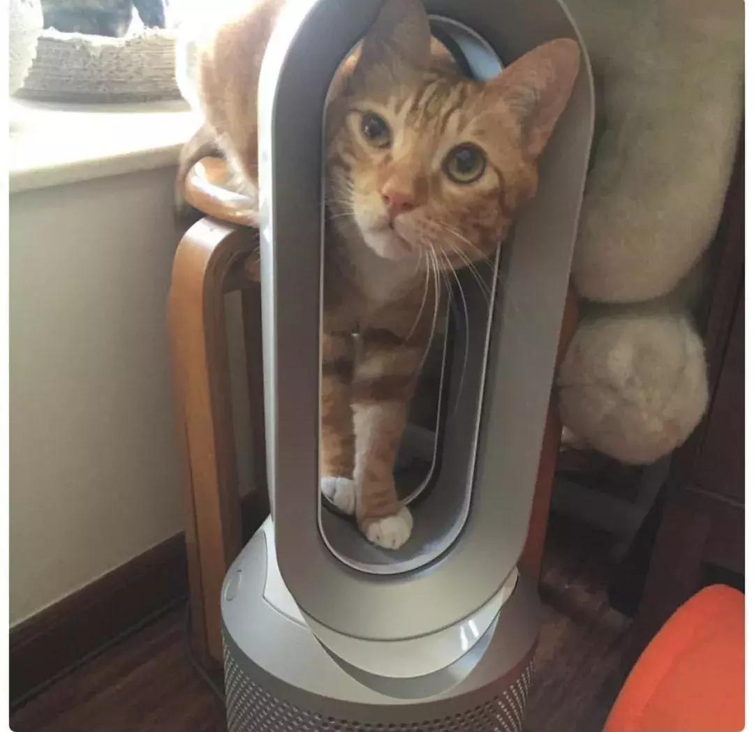 取暖器怎么选视频,取暖器怎么选择家用