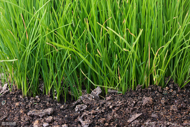 当下最挣钱的小本生意有哪些,回本快的最适合穷人做的小本生意